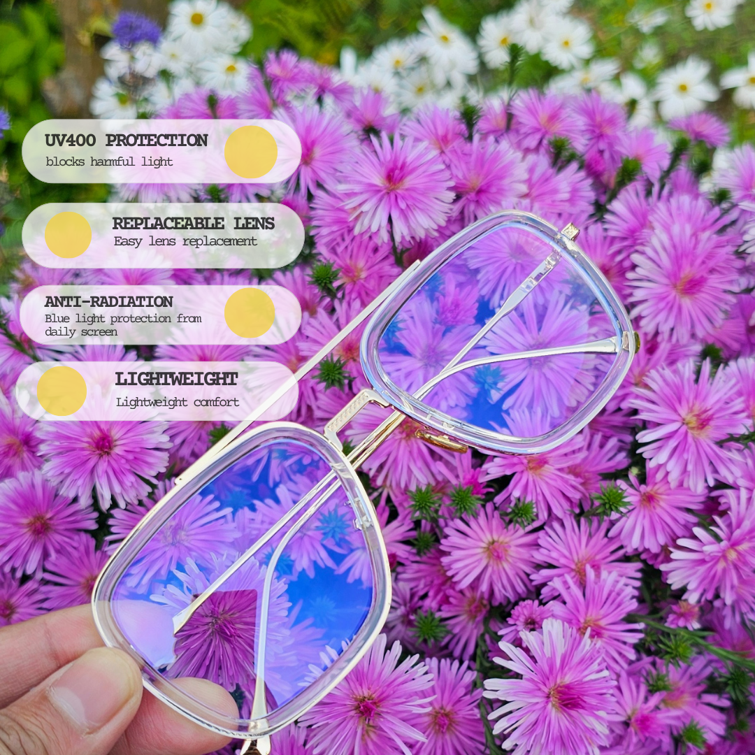 MC500 All-In Eyewear Promo: Terms and Conditions