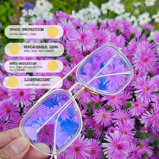MC500 All-In Eyewear Promo: Terms and Conditions