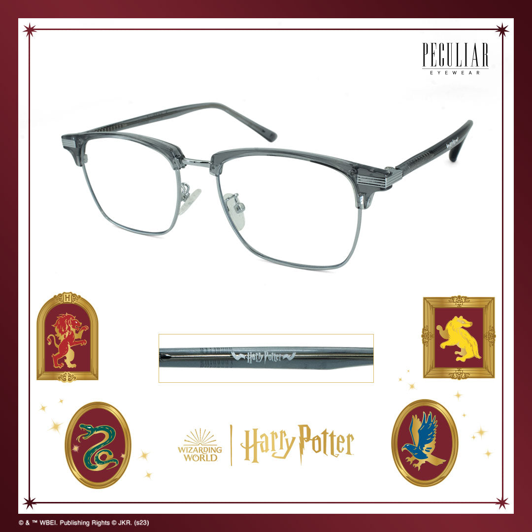 Peculiar Harry Potter Hogwarts Scarf Eyewear Collection