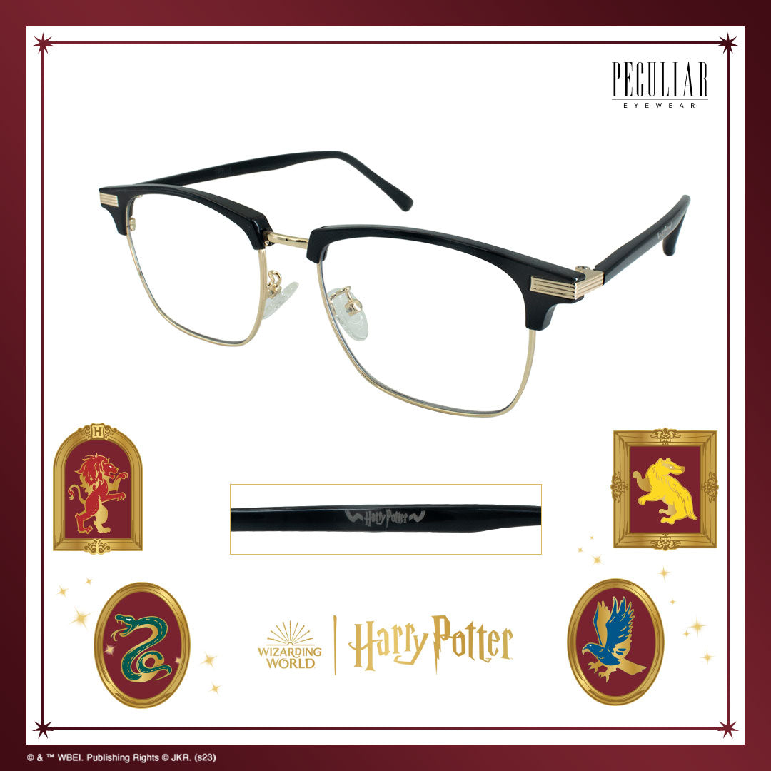 Peculiar Harry Potter Hogwarts Scarf Eyewear Collection