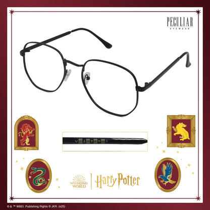 Peculiar Harry Potter Hogwarts Icon Deco Eyewear Collection