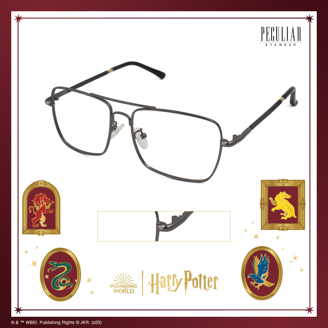 Peculiar Harry Potter Core Snitch Aviator Eyewear Collection
