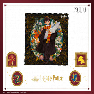 Peculiar Harry Potter Wizarding World Collection Wiper
