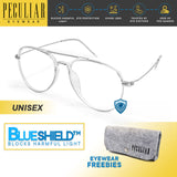 Peculiar BASIC Anti-Radiation Computer Replaceable Eyewear Metal Acetate Women and Men