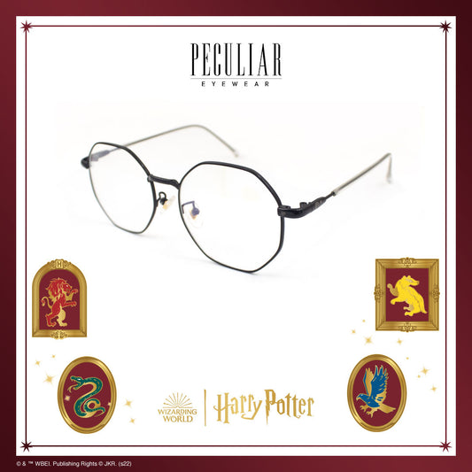 Peculiar Harry Potter Fan Flyer Slytherin Eyewear Collection