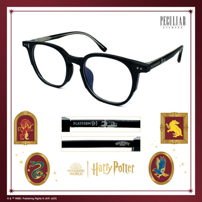 Peculiar Harry Potter Hogwarts Express Eyewear Collection