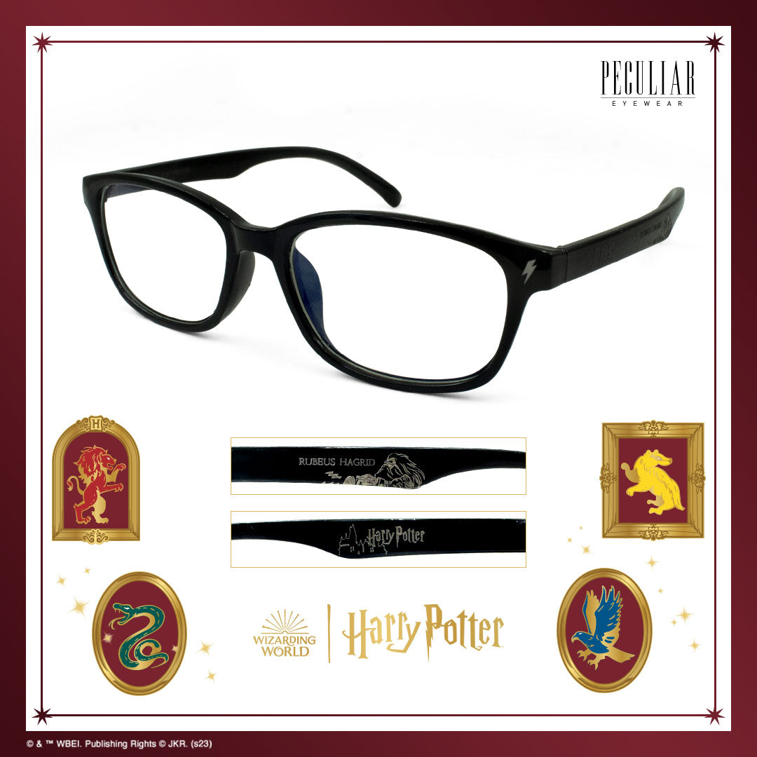 Peculiar Harry Potter Rubeus Hagrid Eyewear Collection