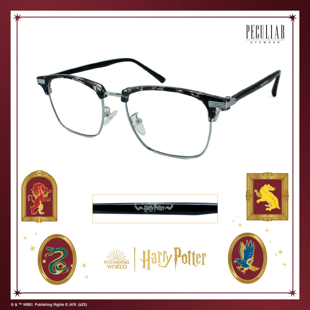 Peculiar Harry Potter Hogwarts Scarf Eyewear Collection